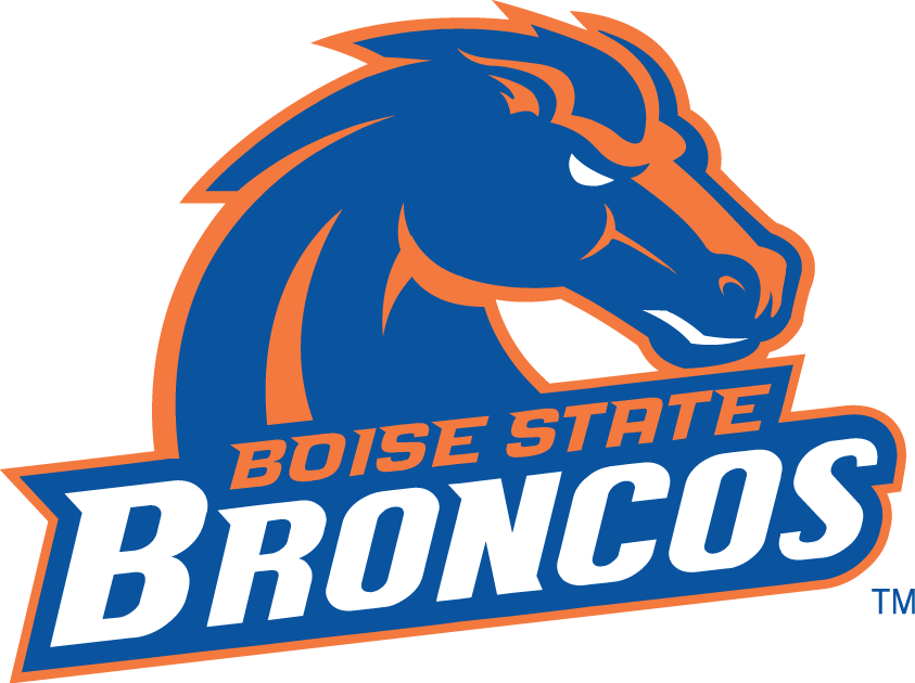 Boise State Broncos 2002-2012 Alternate Logo t shirts iron on transfers